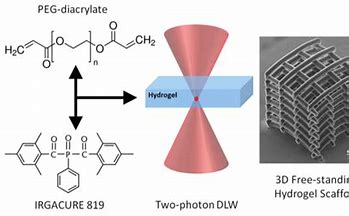 Research on Use of Hydrogels for Irrigation